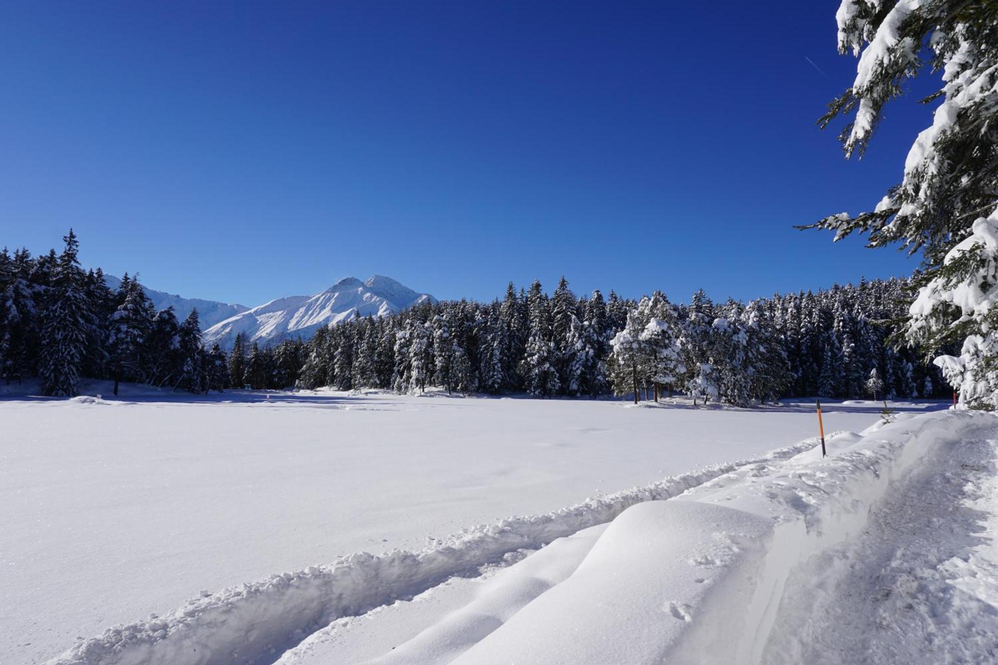 Hotel Pension Tyrol ゼーフェルト・イン・チロル エクステリア 写真